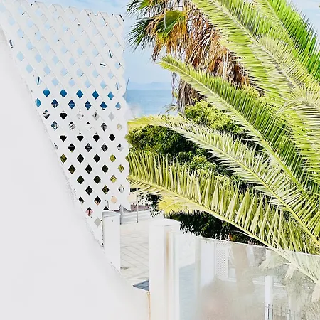 Canaryislandshost L Mar